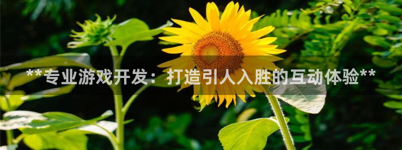 沐鸣娱乐2官网