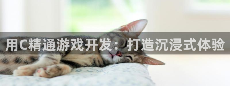 沐鸣2多少年