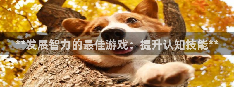 沐鸣2首页登录