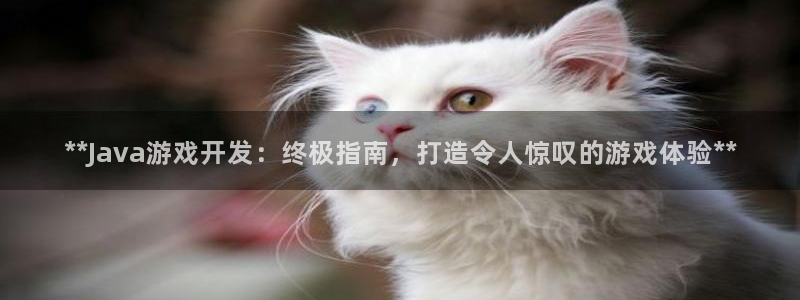 沐鸣娱乐2如何找回密码