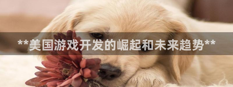 沐鸣2平台负责人