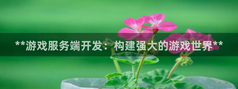 沐鸣娱乐2登录平台是什么