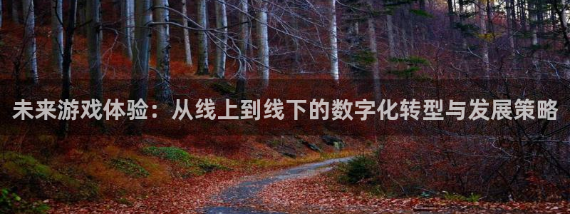 沐鸣2平台线路：未来游戏体验：从线上到线下的数字化转型与发展策略