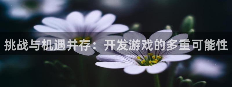 沐鸣娱乐2登录平台是什么：挑战与机遇并存：开发游戏的多重可能性