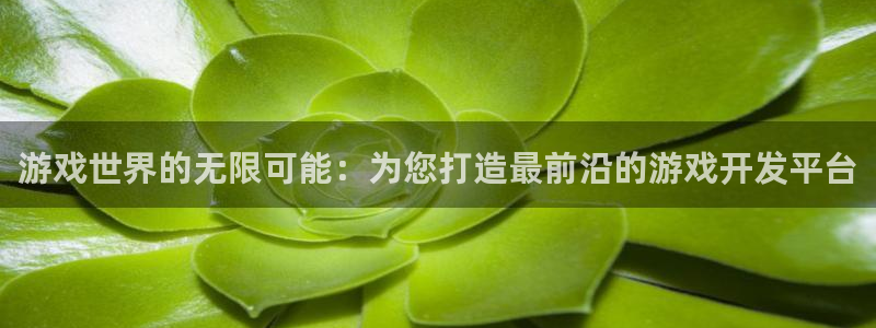 沐鸣娱乐2客服：游戏世界的无限可能：为您打造最前沿的游戏开发平台