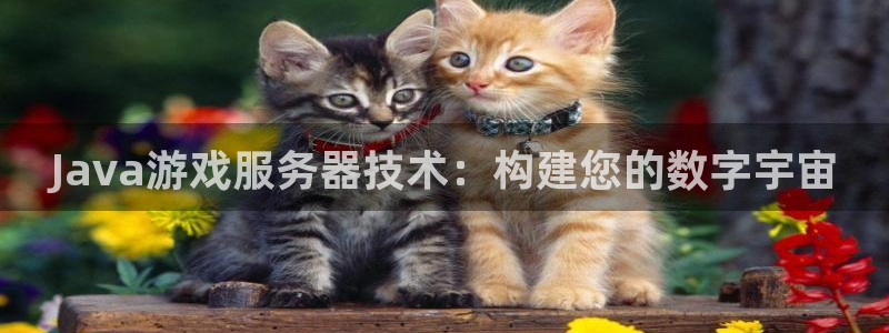 沐鸣2平台开户：Java游戏服务器技术：构建您的数字宇宙