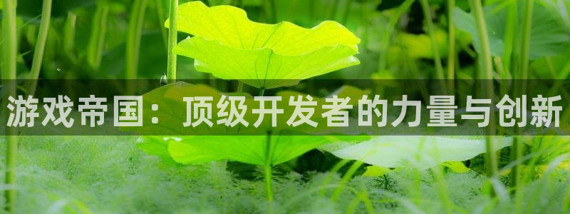 沐鸣2平台开户：游戏帝国：顶级开发者的力量与创新