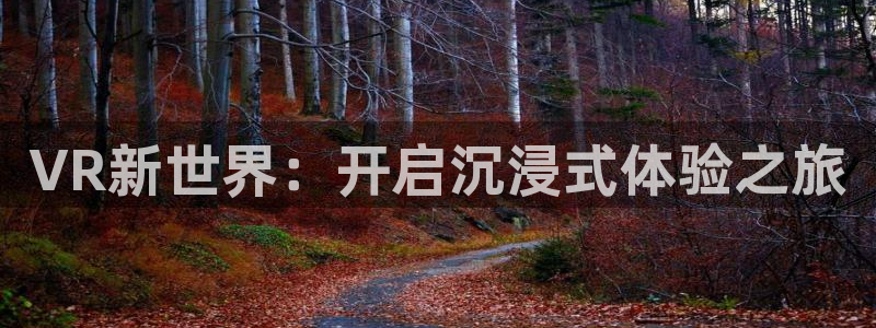 沐鸣娱乐2官方：VR新世界：开启沉浸式体验之旅