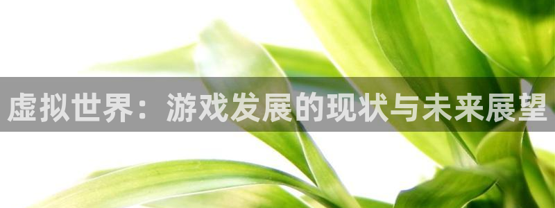 沐鸣2平台注册流程：虚拟世界：游戏发展的现状与未来展望