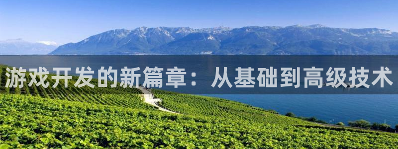 沐鸣2平台注册流程：游戏开发的新篇章：从基础到高级技术