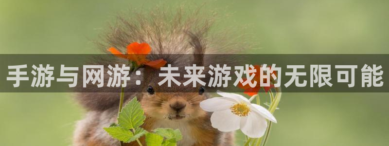 沐鸣娱乐2不能注册：手游与网游：未来游戏的无限可能