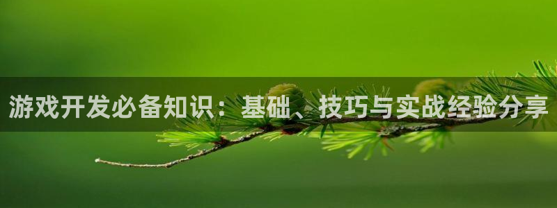 沐鸣2测速登录：游戏开发必备知识：基础、技巧与实战经验分享