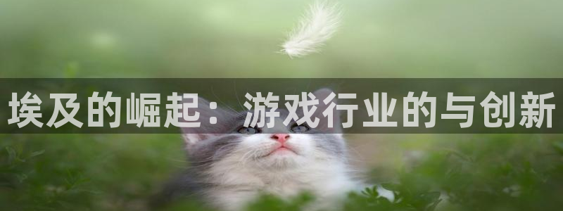 沐鸣2官网网址：埃及的崛起：游戏行业的与创新