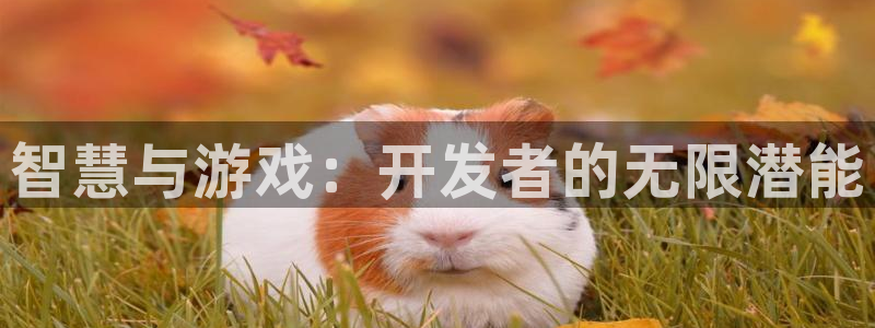 沐鸣娱乐2官方网站注册链接：智慧与游戏：开发者的无限潜能