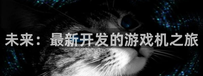 沐鸣娱乐2如何找回密码：未来：最新开发的游戏机之旅